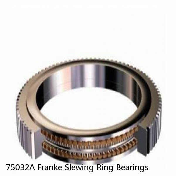 75032A Franke Slewing Ring Bearings