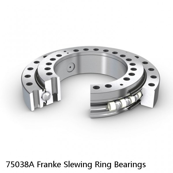 75038A Franke Slewing Ring Bearings