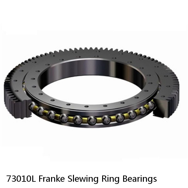 73010L Franke Slewing Ring Bearings