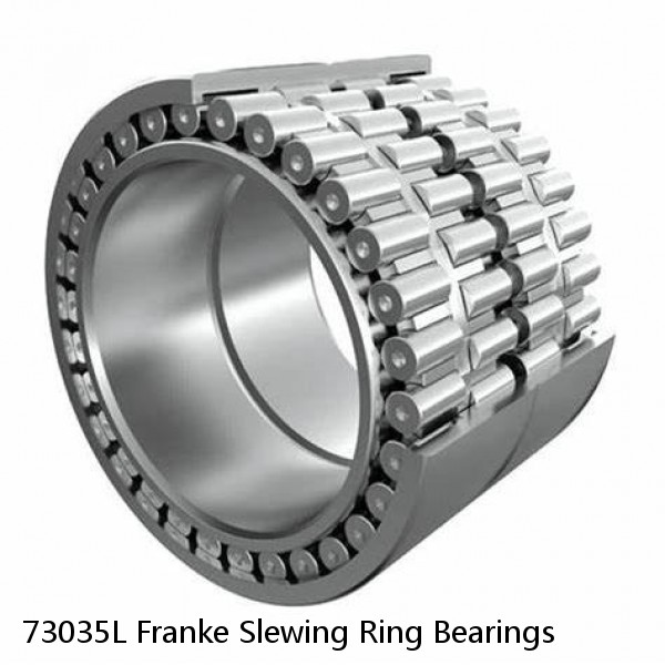 73035L Franke Slewing Ring Bearings