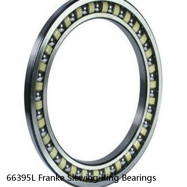 66395L Franke Slewing Ring Bearings