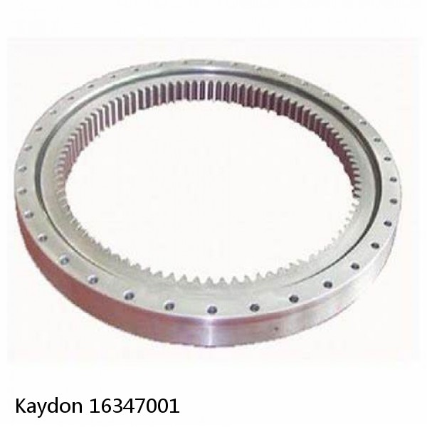 16347001 Kaydon Slewing Ring Bearings