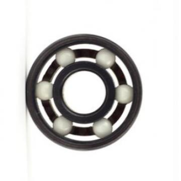 SKF NSK NTN Koyo NACHI Timken Cylindrical Roller Bearing P5 Quality 16020 6020 6220 6320 6921 16021 Zz 2RS Rz Open Deep Groove Ball Bearing