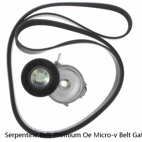 Serpentine Belt-Premium Oe Micro-v Belt Gates K060448