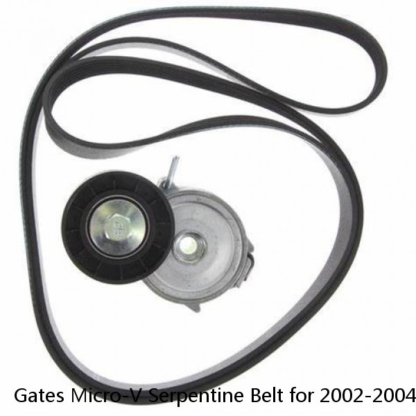 Gates Micro-V Serpentine Belt for 2002-2004 Chevrolet Silverado 1500 4.3L V6 gq