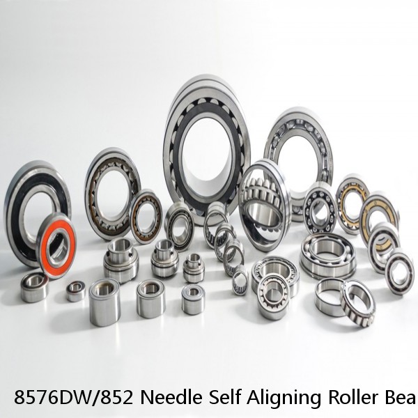 8576DW/852 Needle Self Aligning Roller Bearings