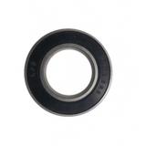 Ceramic Ball Bearing 6205 China Factory